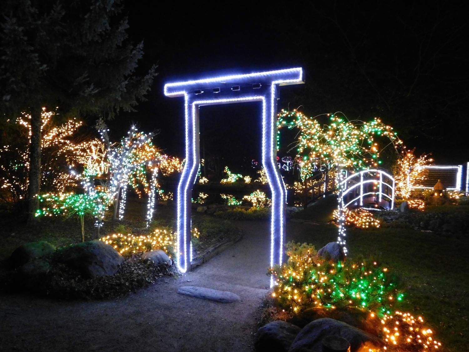 V Mozirskem gaju vas bo letos pričakalo kar 1.500.000 lučk in številne novosti