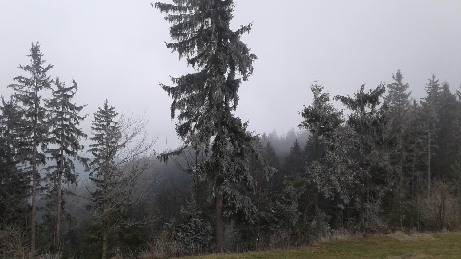 Prihajajo padavine in ohladitev ... Kaj pa sneg?