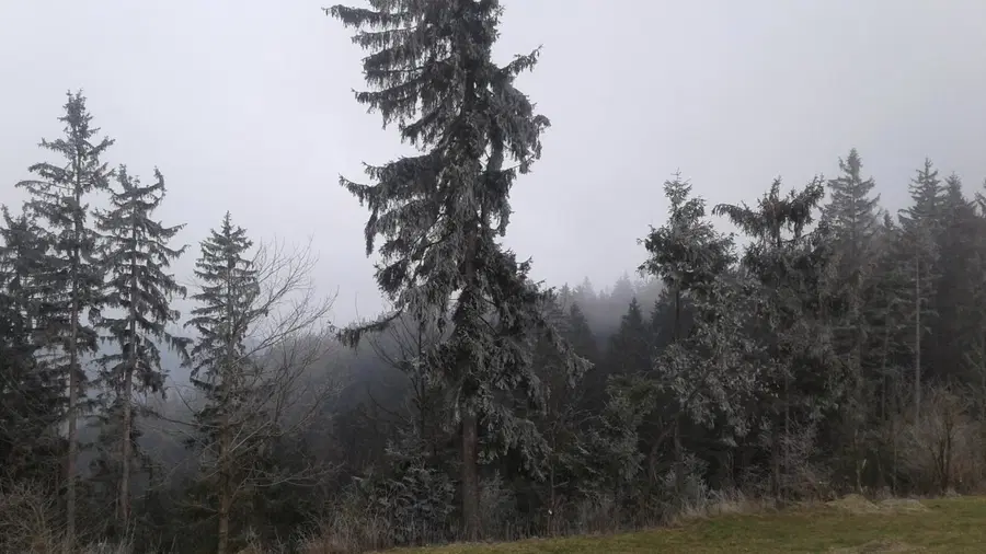 Prihajajo padavine in ohladitev ... Kaj pa sneg?