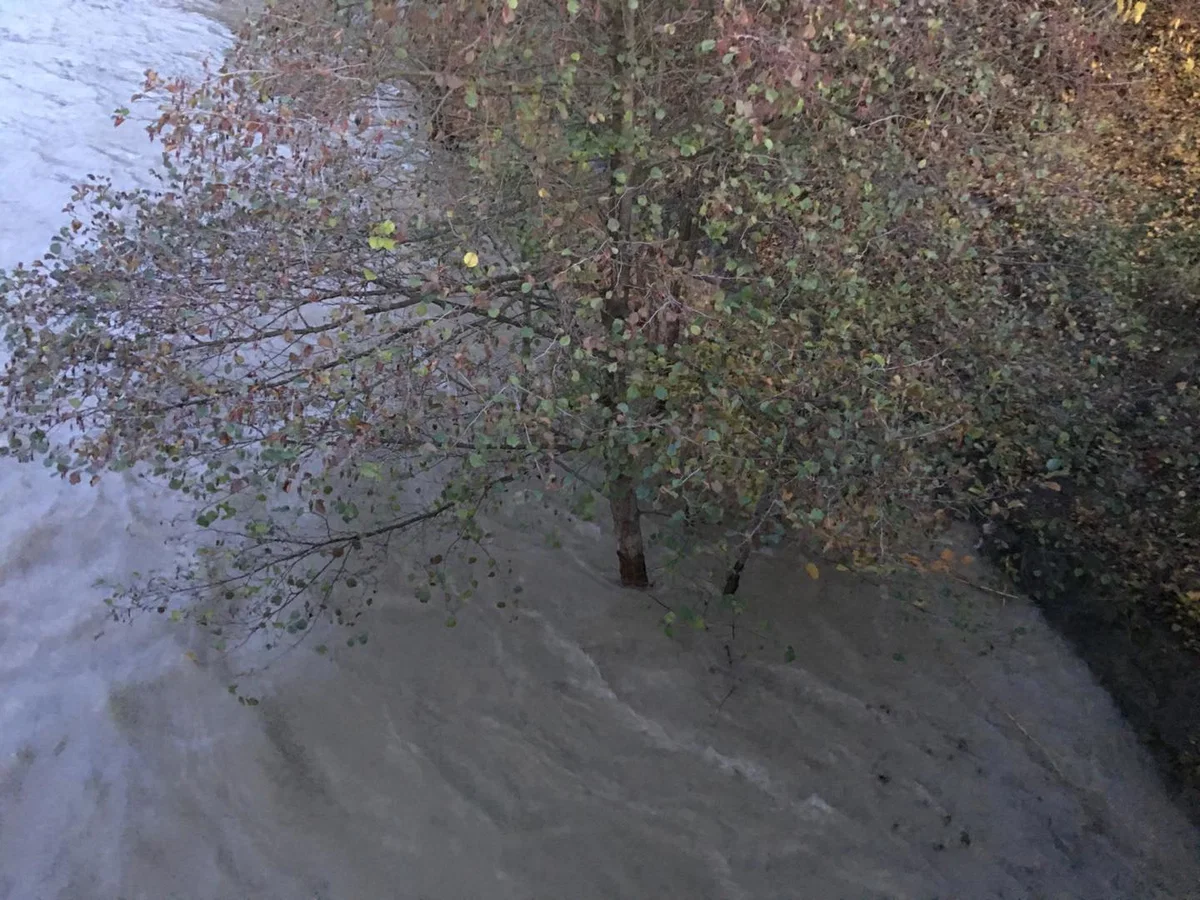 Bo Drava tokrat prizanesla Korošcem? V Dravogradu dežurajo gasilci (VIDEO in FOTO)