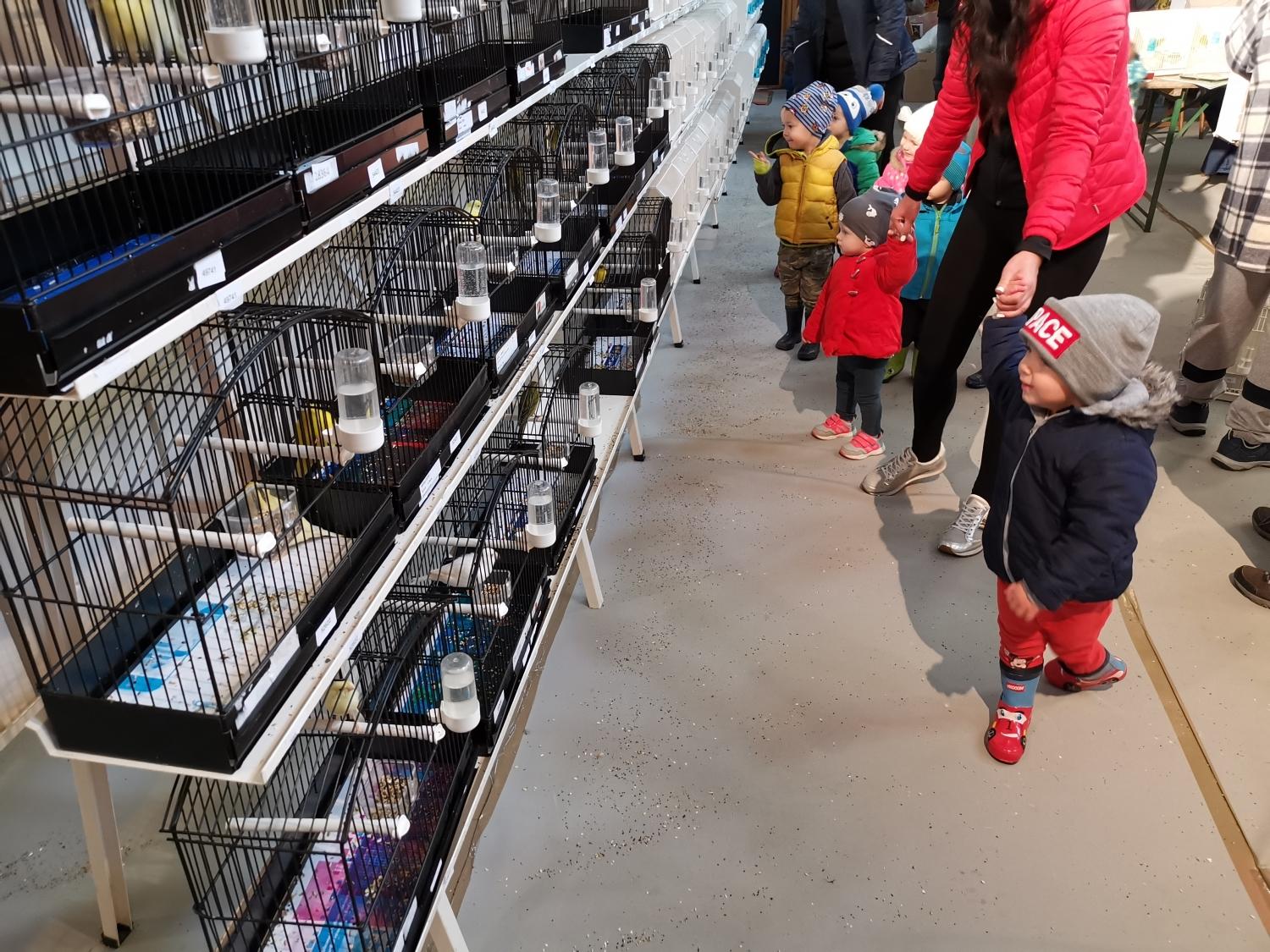 V Podgorju na ogled več kot 400 ptic (VIDEO in FOTO)