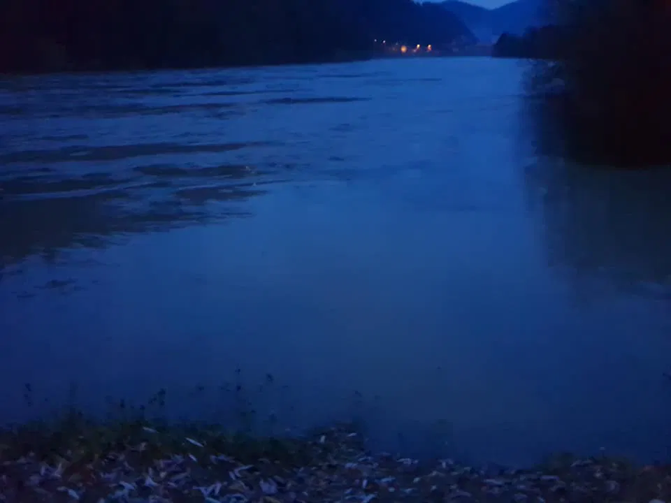 Policija prosi za pomoč pri identifikaciji najdenega trupla v Dravi (FOTO)