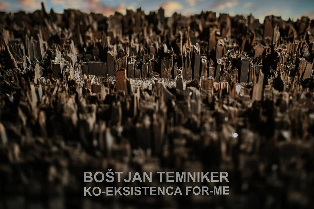 Na Ravnah navdušujejo skulpture iz najdenih drevesnih debel (FOTO)