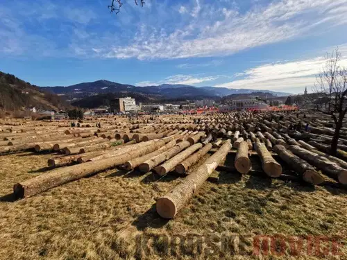 14. dražba vrednejših sortimentov lesa