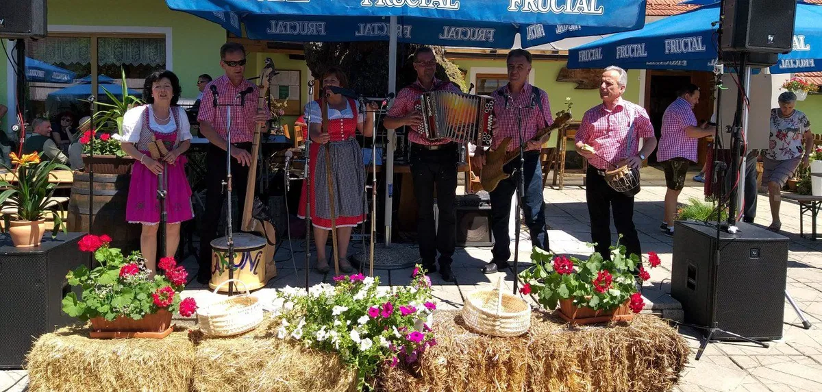 Ljubitelji domače 'muzike' vabljeni v Šentanel na 1. Srečanje muzikantov