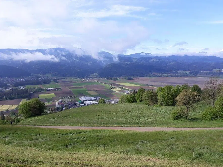 Mestna občina Slovenj Gradec zbira vloge za škodo na kmetijskih pridelkih