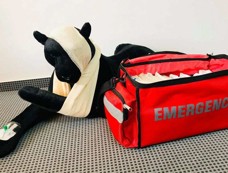 Ali bi znali ukrepati, če bi bilo ogroženo življenje (vašega) otroka?