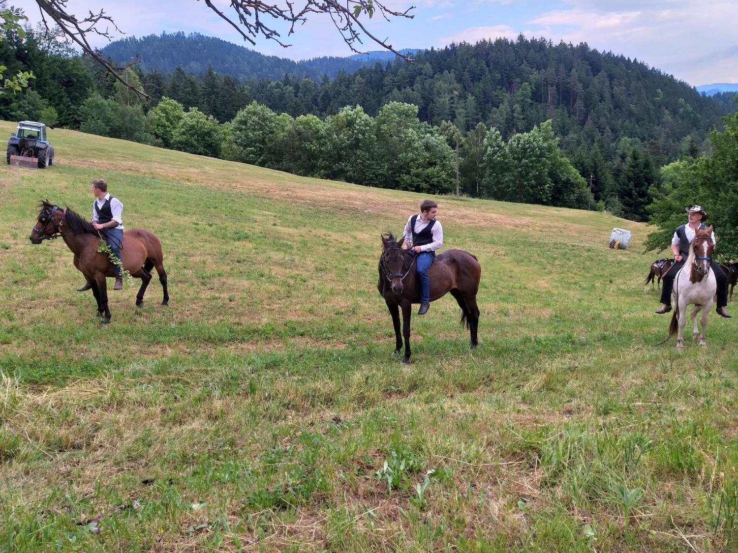 Na god sv. Štefana po državi tradicionalni blagoslovi konj