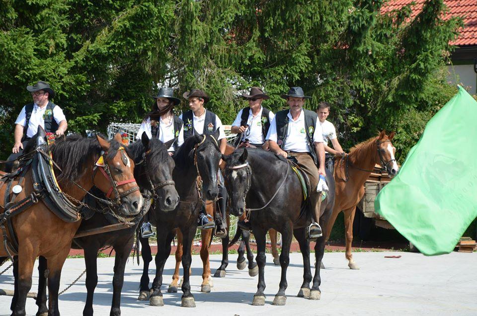 V Slovenj Gradcu pripravljajo sejem rabljene konjeniške opreme