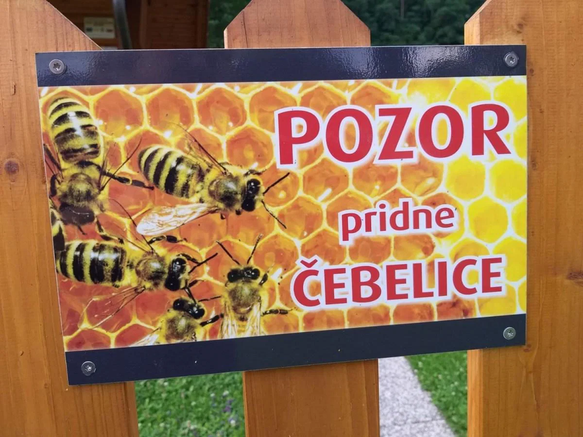 V EU za 17,5 milijona panjev skrbi 650.000 čebelarjev