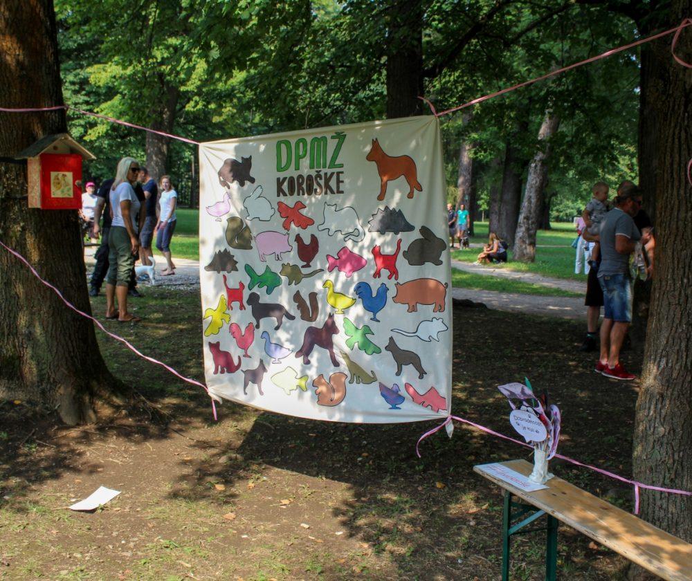 Do konca februarja v Slovenj Gradcu akcija sterilizacij in kastracij