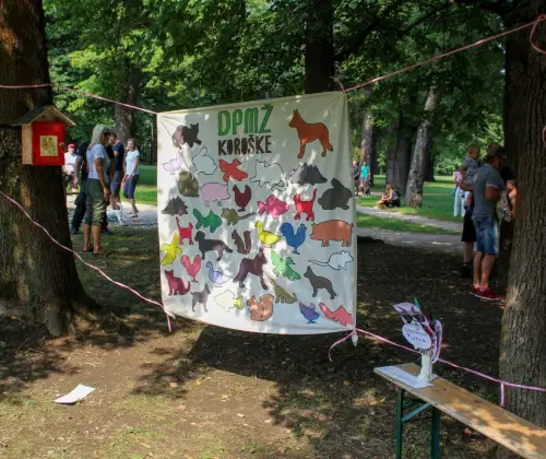 Do konca februarja v Slovenj Gradcu akcija sterilizacij in kastracij