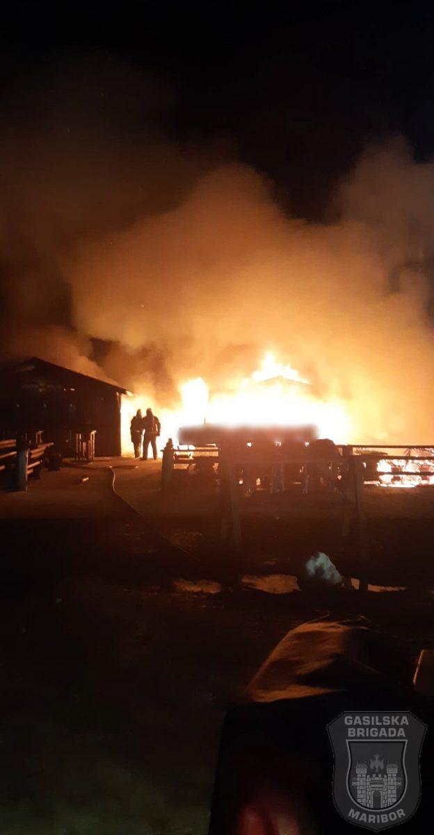 Prijeli krivce za sobotni požar na Pohorju  (FOTO)