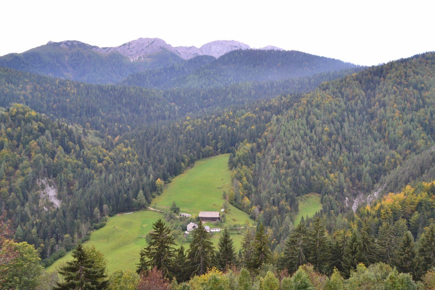 Pametne vasi na Koroškem: pridružite se debati o krepitvi podeželja z uporabo digitalnih tehnologij in inovacij