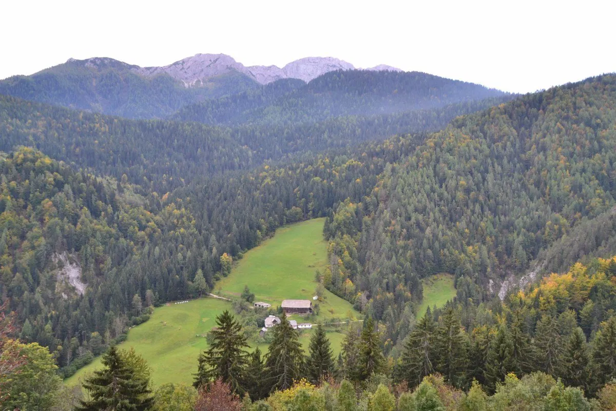 Pametne vasi na Koroškem: pridružite se debati o krepitvi podeželja z uporabo digitalnih tehnologij in inovacij