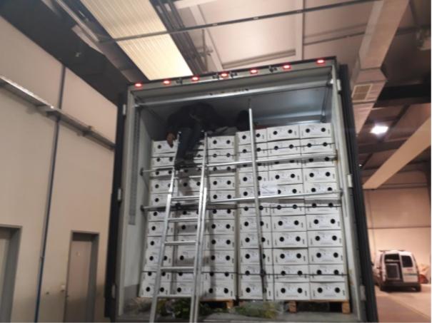 V tovornem vozilu odkrili šest migrantov iz Afganistana (FOTO)