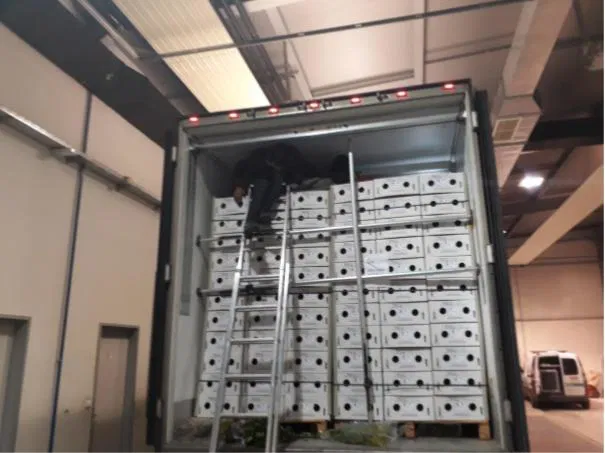 V tovornem vozilu odkrili šest migrantov iz Afganistana (FOTO)