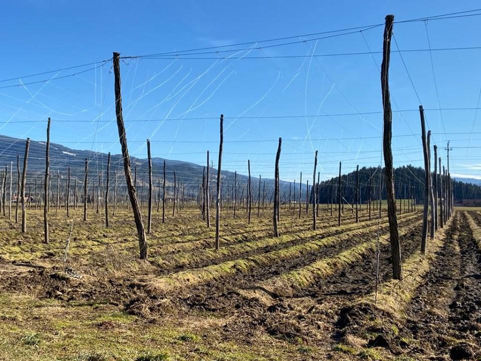 Ministrstvo spremenilo ukrepe kmetijske politike za leto 2020