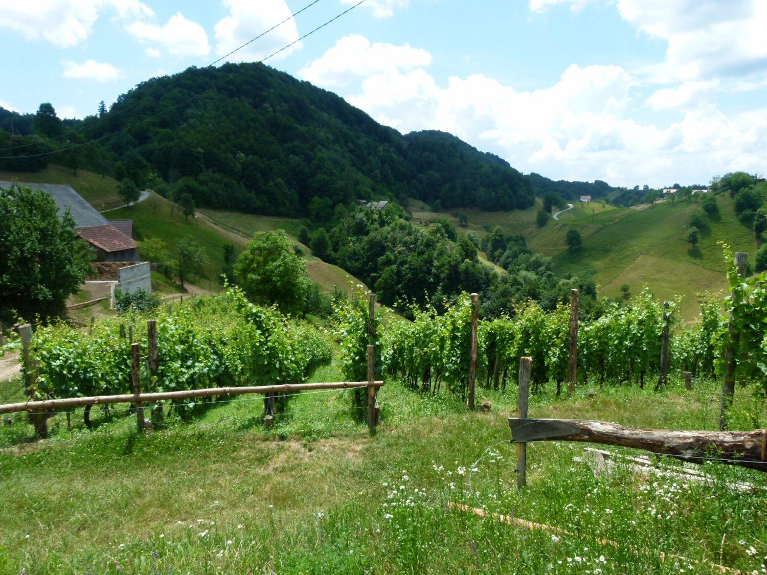 Nekatera koroška naselja bodo dobila dostop do širokopasovnega omrežja naslednje generacije