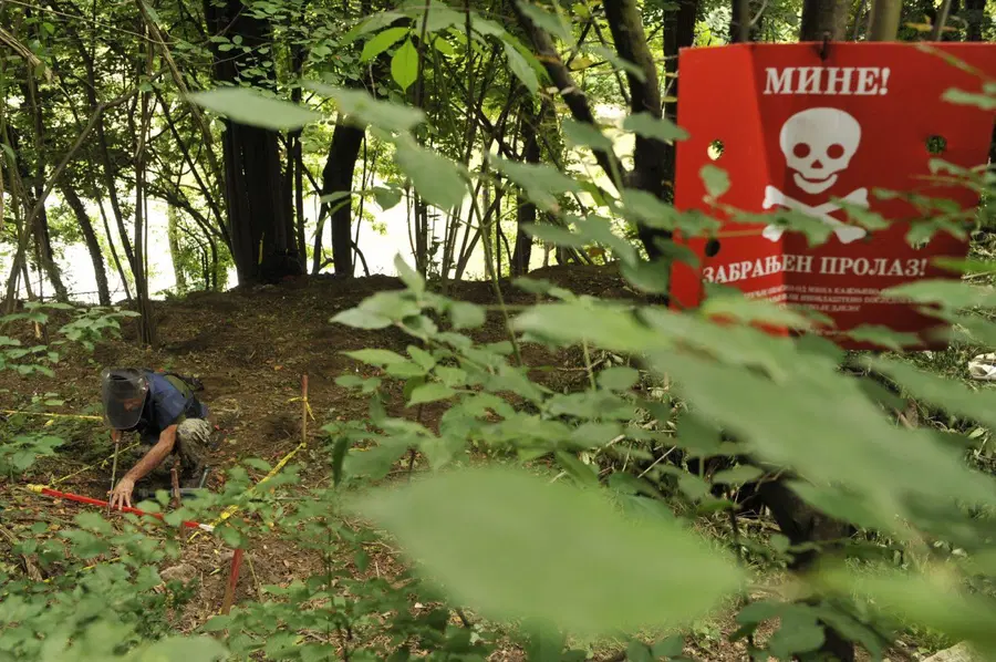 Ob mednarodnem dnevu boja proti minam v ospredju težak položaj žrtev