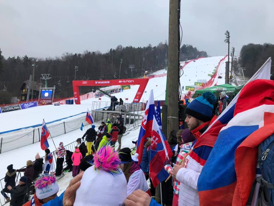 Zlata lisica se letos po dveh letih znova seli v Kranjsko Goro