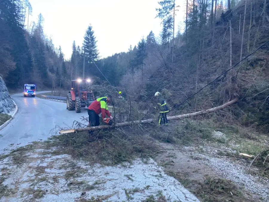 Orkanski veter odkrival strehe, podiral drevesa in povzročal nevšečnosti v prometu tudi na Koroškem (VIDEO in FOTO)