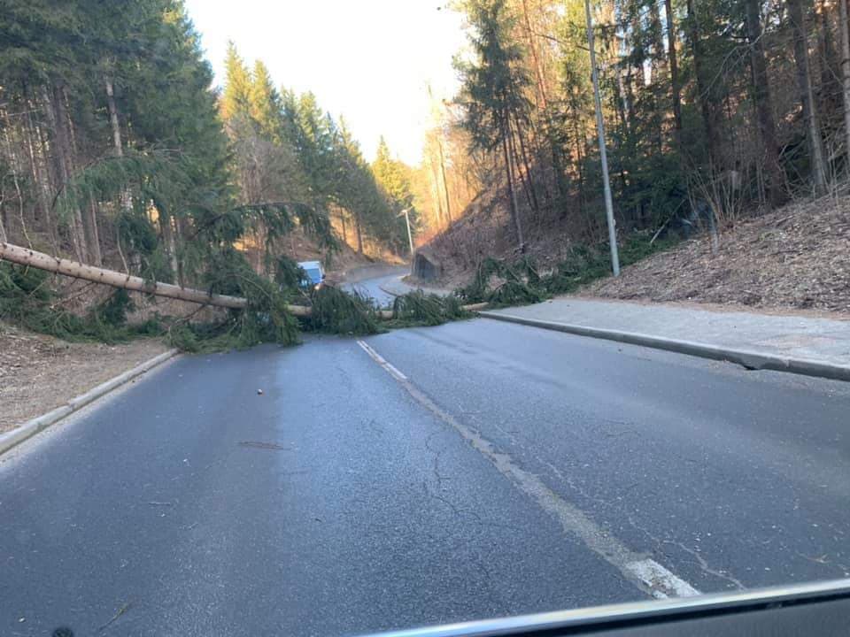 V Črni gasilci odstranili podrto drevo. Na Prevaljah v večstanovanjskem objektu puščala centralna naprava