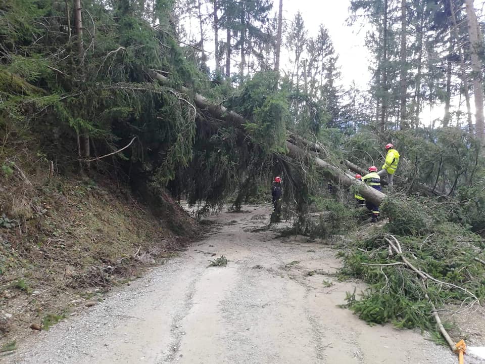To so posledice današnjega močnega vetra, ki je zajel tudi Koroško (FOTO in VIDEO)