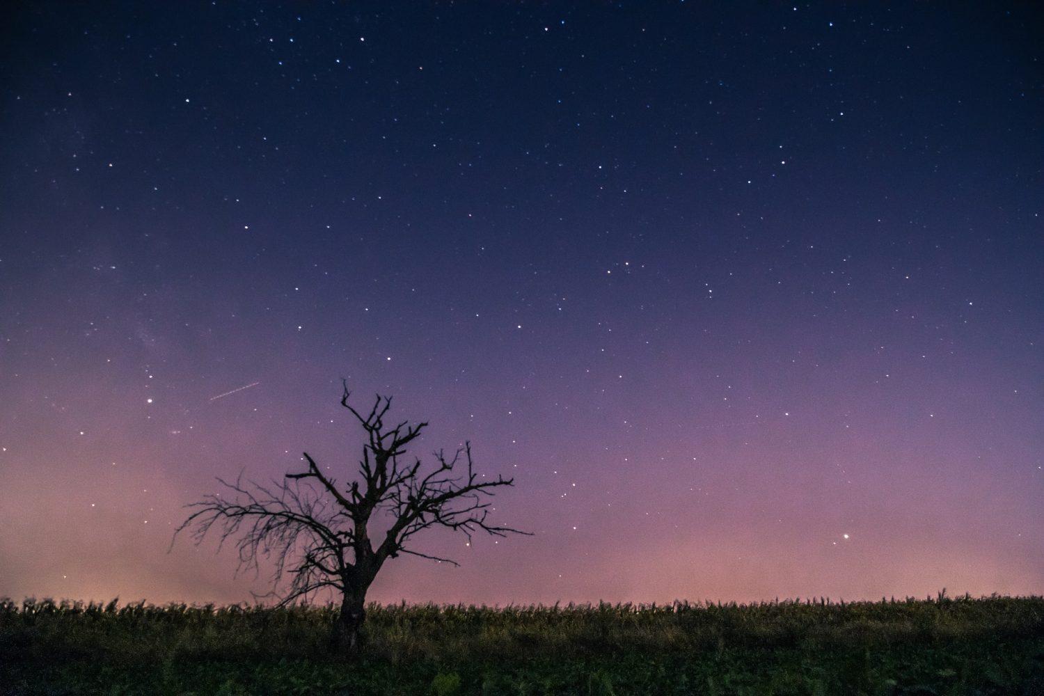 Ob padcu meteorita se je zatreslo in močno počilo