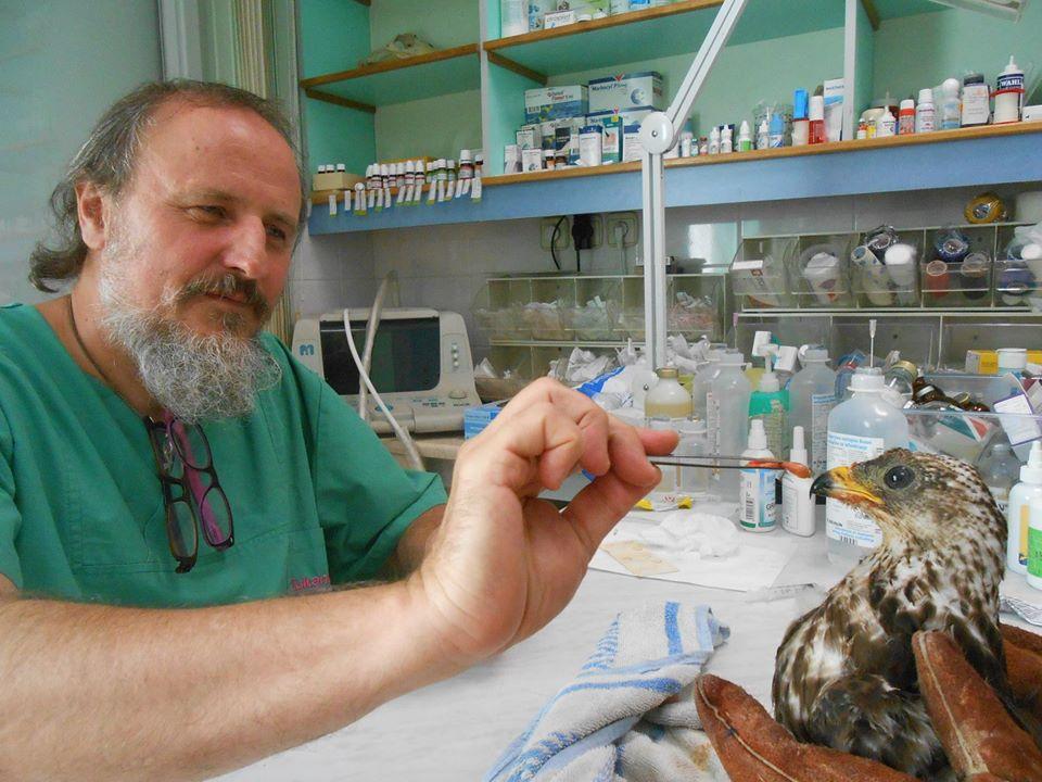 Ime tedna na Valu 202 je Korošec Zlatko Golob