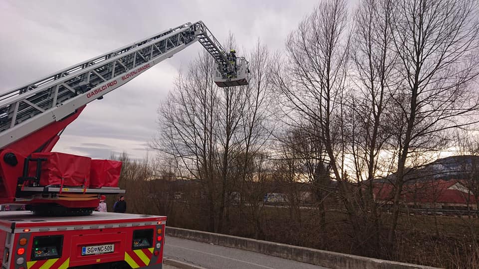 Gasilci v soboto rešili ljudi, psa in mačko (FOTO)
