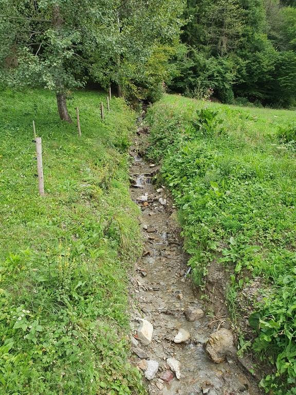 V Pamečah pričenjajo s sanacijo potoka (FOTO)