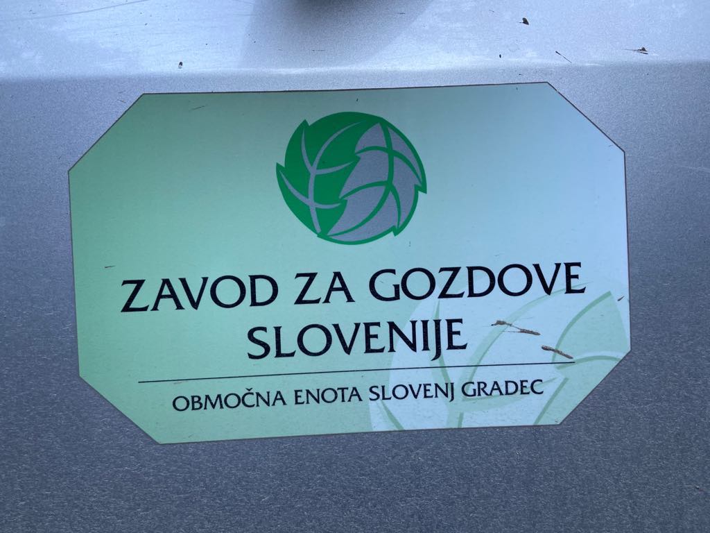 Zavod za gozdove opozarja: sanitarna sečnja je nujna