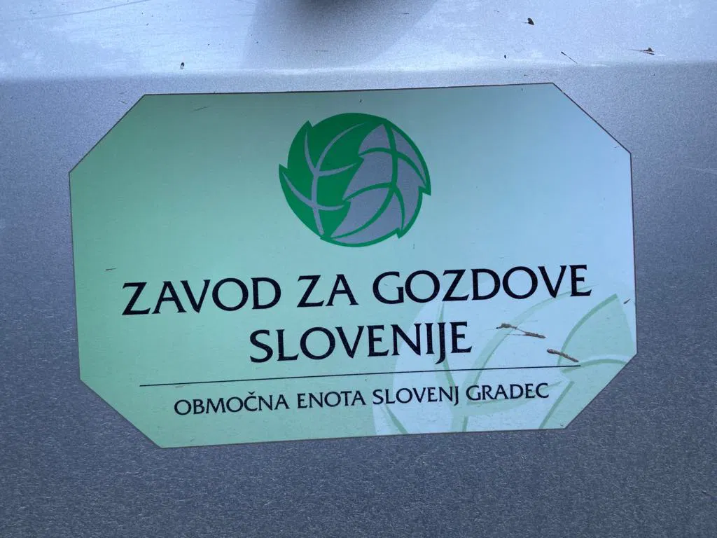 Zavod za gozdove opozarja: sanitarna sečnja je nujna