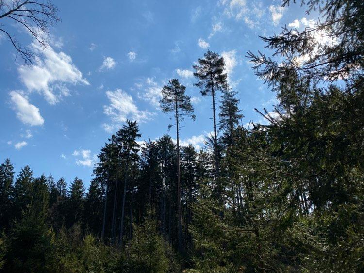 Podnebne spremembe eden največjih izzivov za prihodnost človeštva