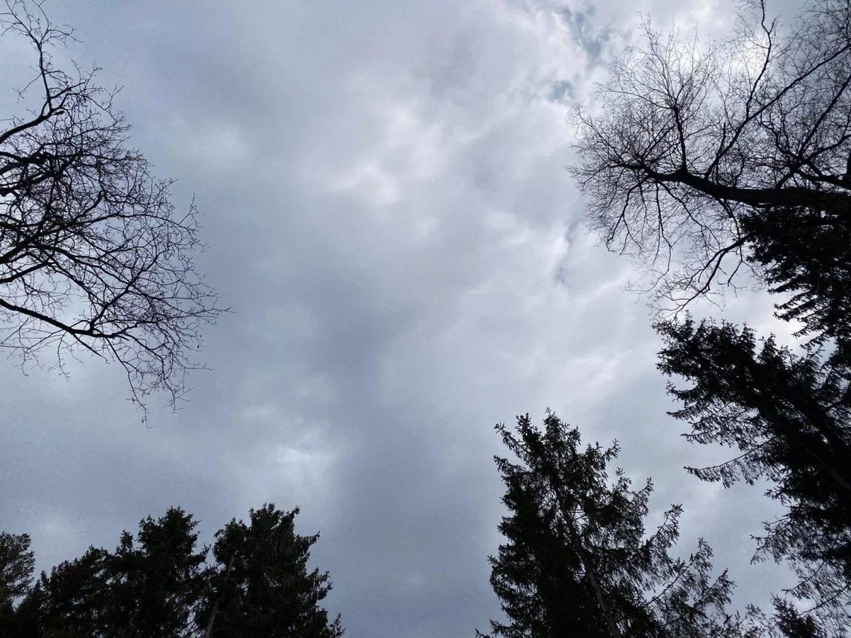 Vreme: Deževno in vetrovno