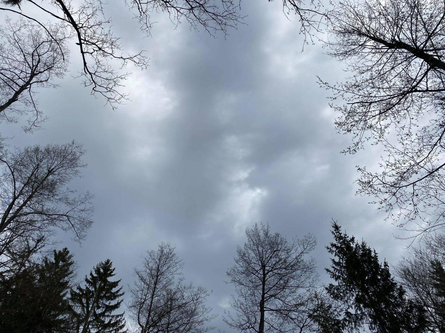 Vikend moker in vetroven