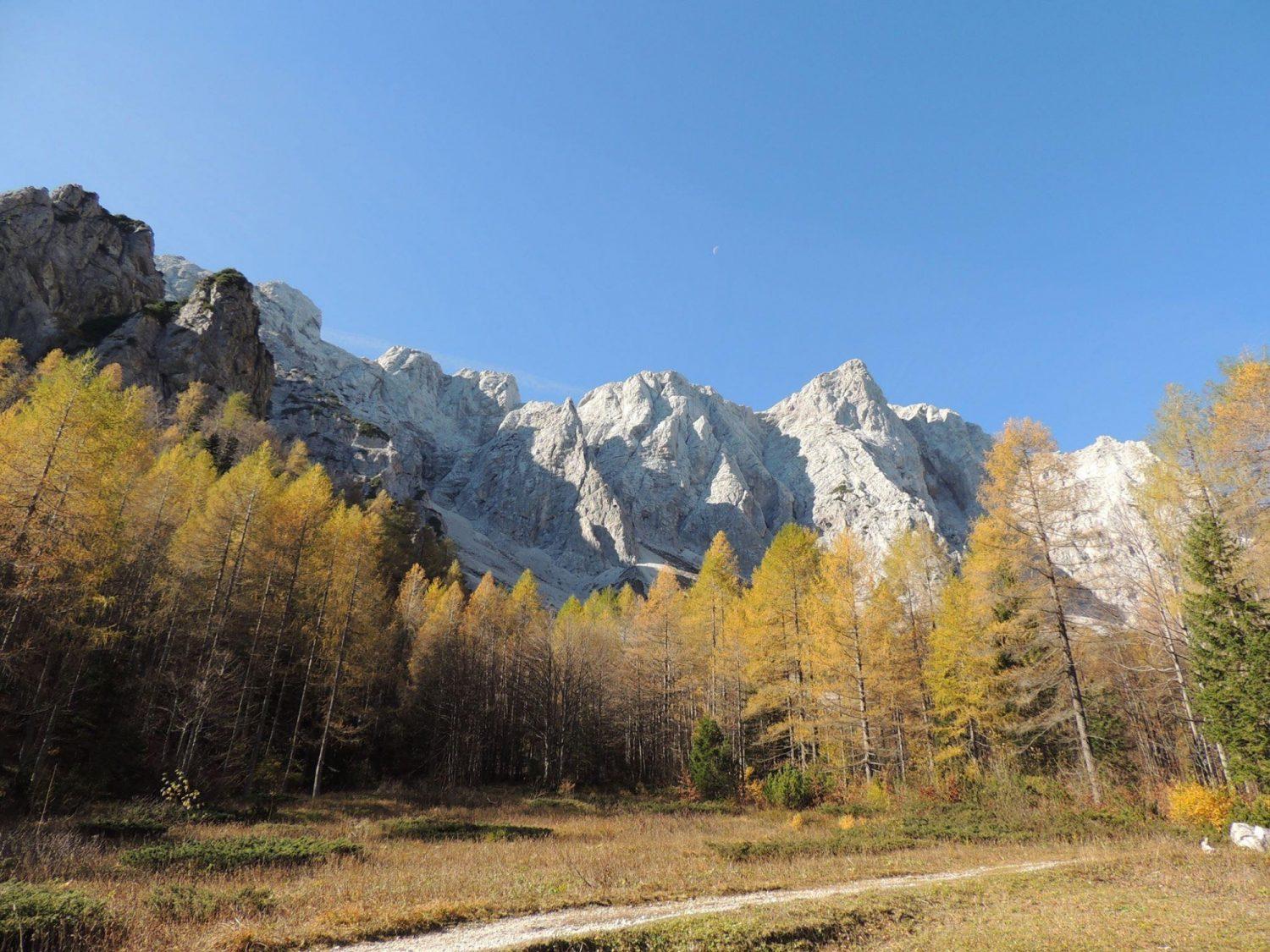 Film "Viharnik z roba" v Narodnem domu Mežica: Obujanje začetkov slovenskega alpinizma
