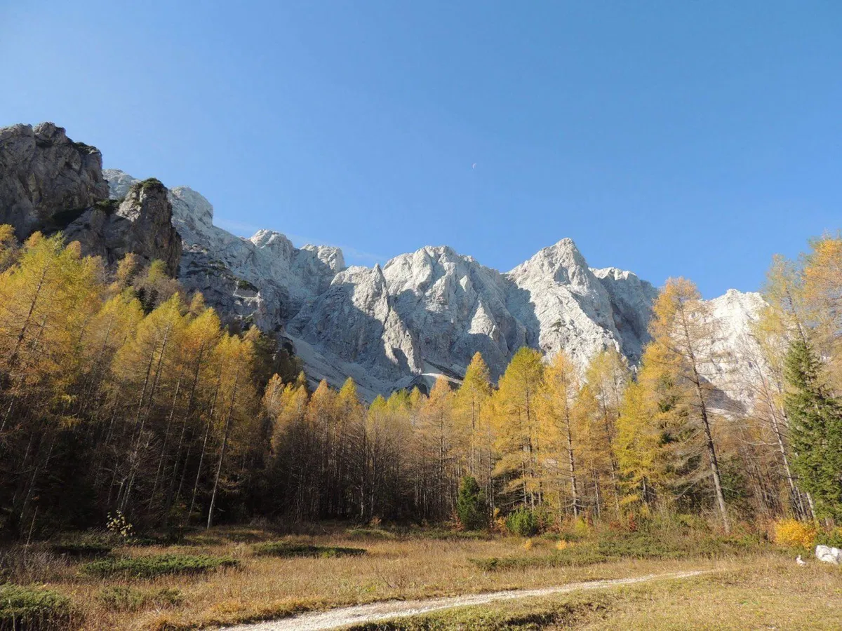 Pohodnik pod Čavnom izgubil zavest in umrl