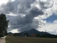 Na Koroškem poročajo o večjem obsegu intervencij zaradi vetra