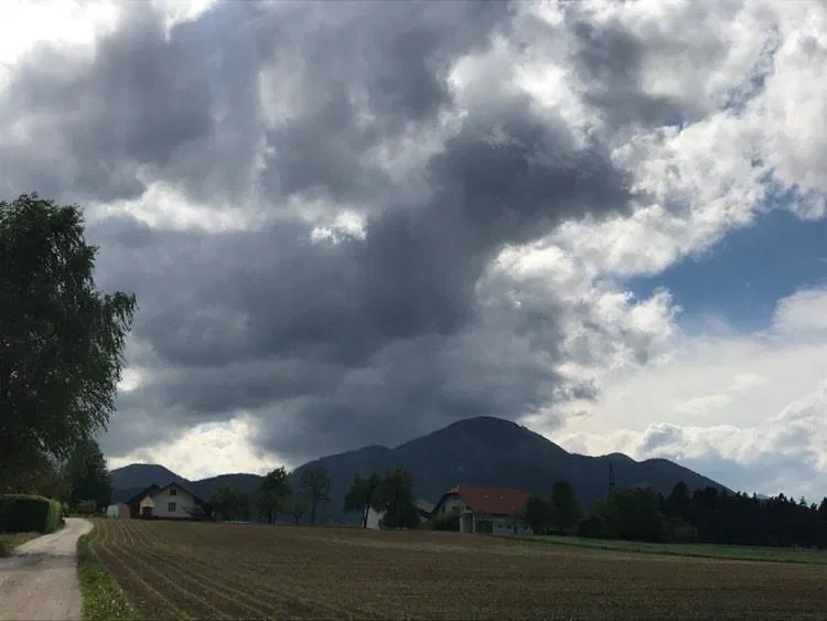 Napovedan je močan jugozahodnik, ki bo ponekod dosegal hitrosti okoli 80 km/h