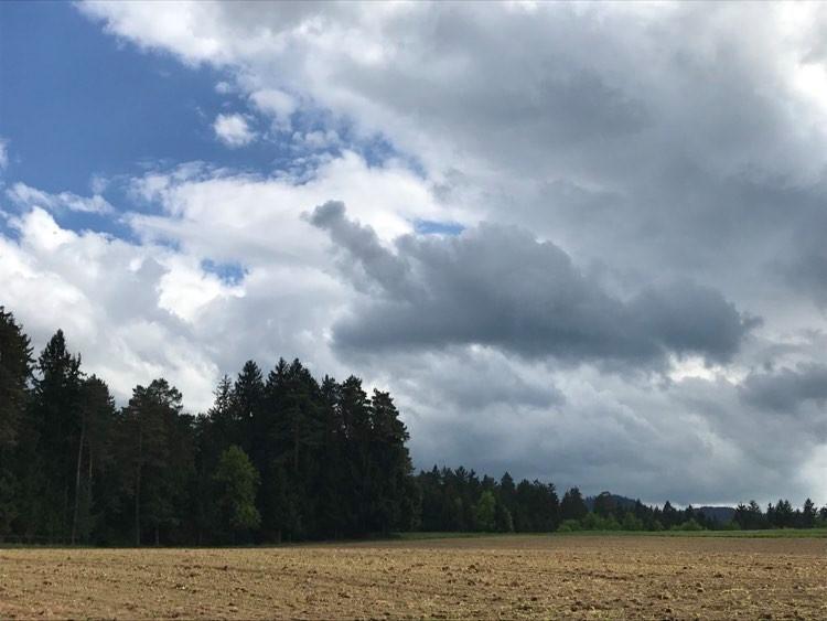 Vreme: Kakšen teden je pred nami?