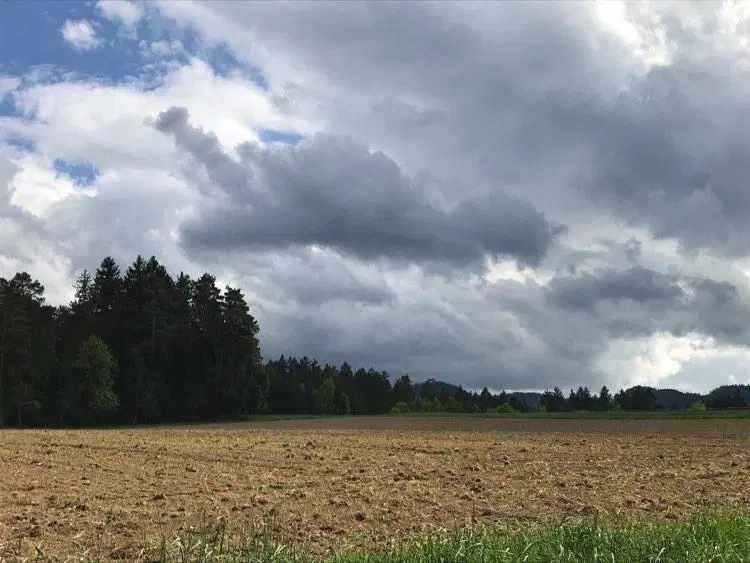 Mokra Zofka s krajevnimi plohami, obilnejše deževje spet v noči na torek