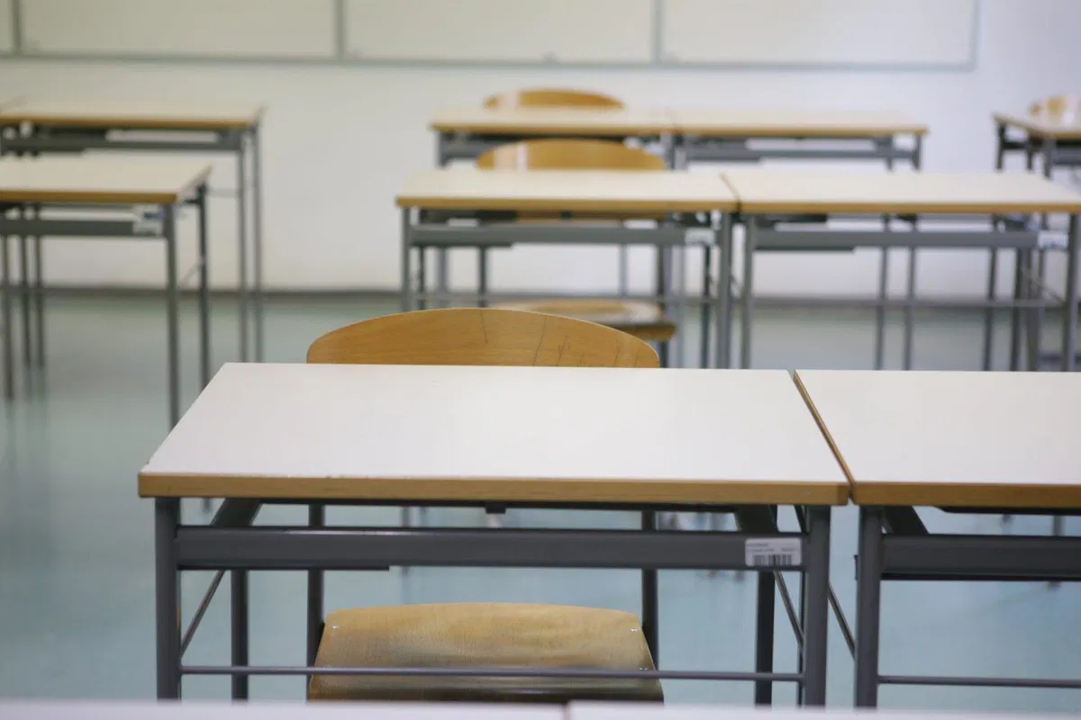 Ustavno sodišče: Vlada mora najkasneje 4. januarja omogočiti začetek izvajanja programov za otroke s posebnimi potrebami