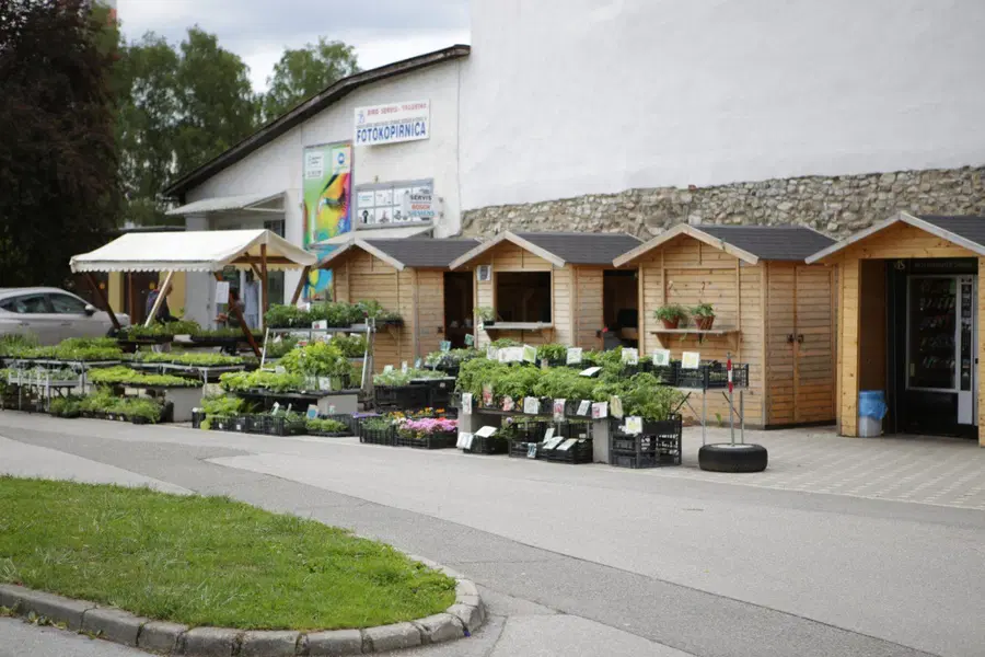 V sklopu Dneva za spremembe na tržnico, razstavo ali po flance