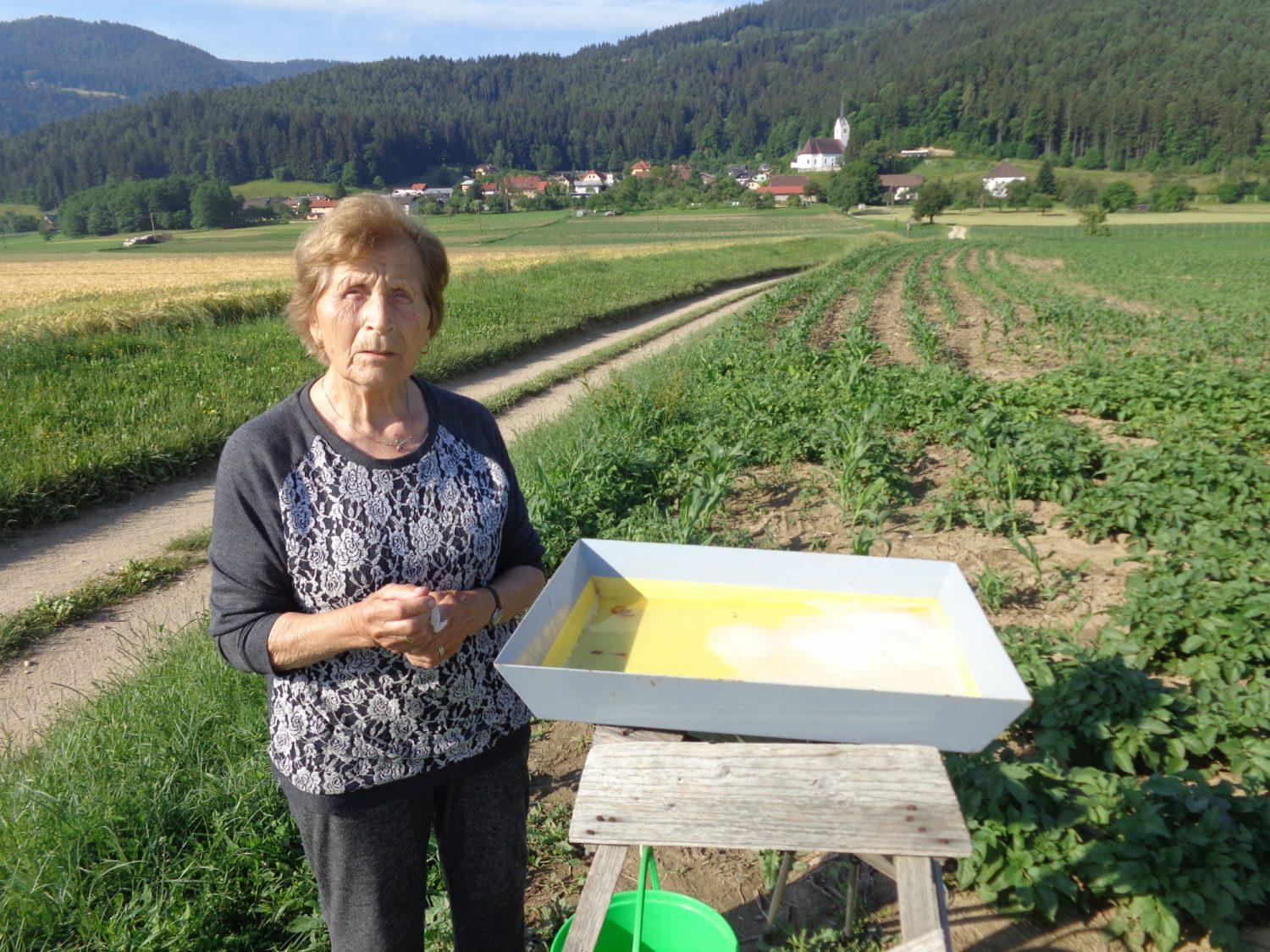 Štefanova Ančka (Ana Novak) iz Libelič praznuje 90 let