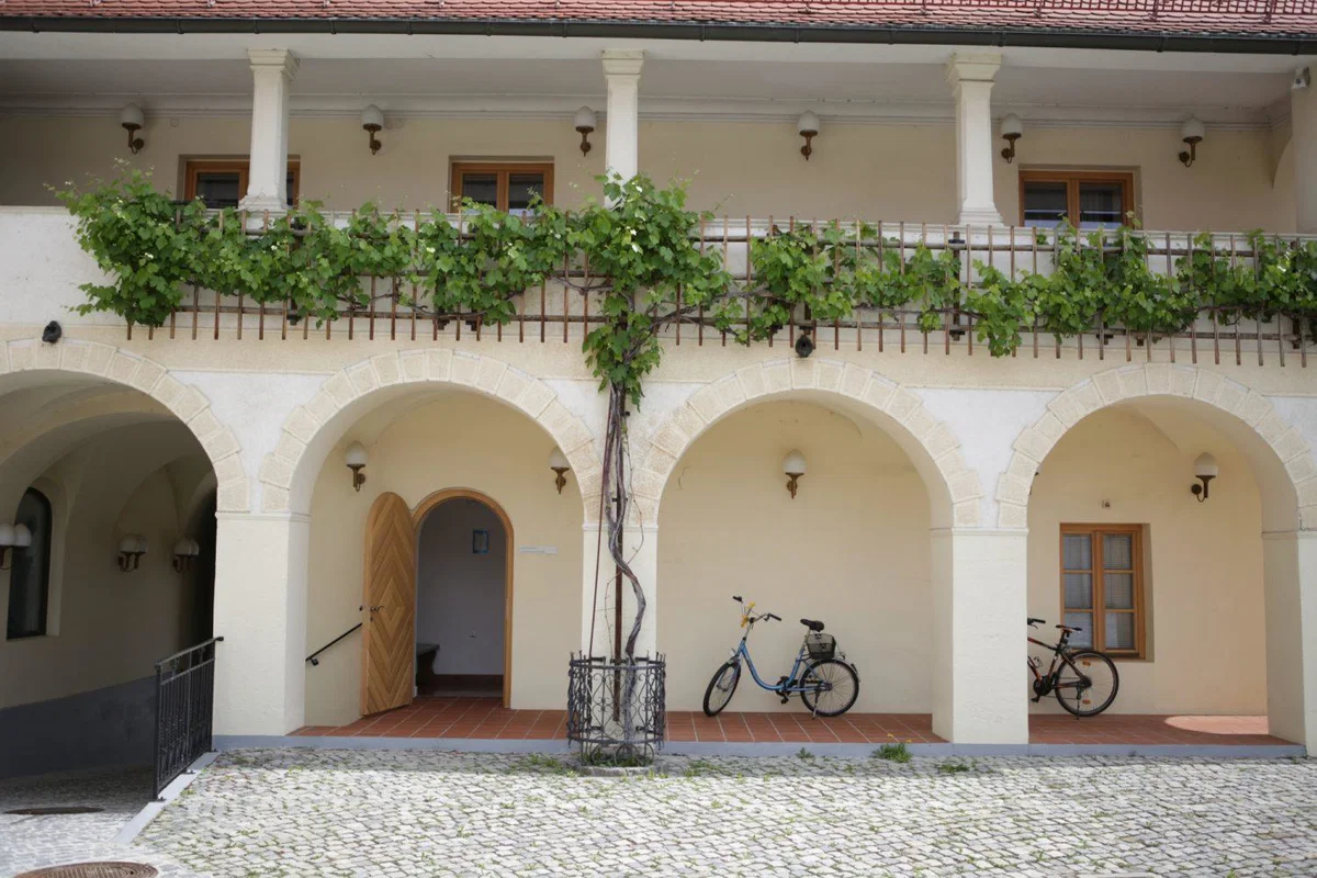 Mestna občina Slovenj Gradec v dar prejela dragoceno umetnino