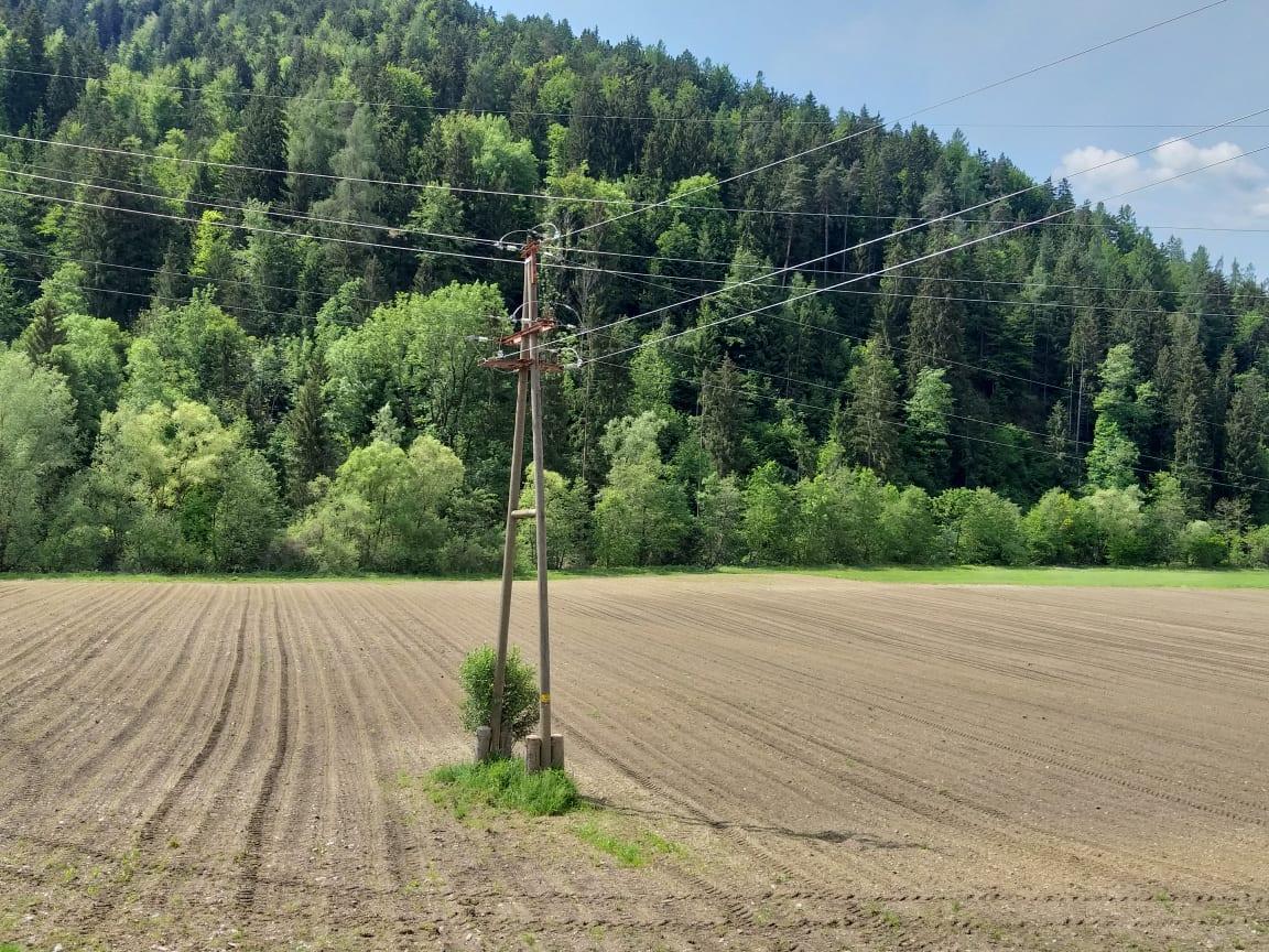 Tudi na Koroškem možnost brezplačnega zakupa kmetijskih zemljišč