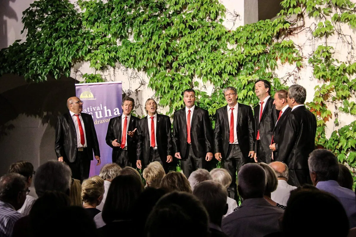 Festivala Suha letos ne bo