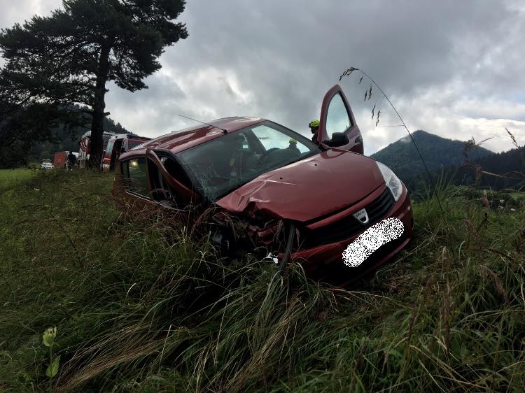 Oplazil drevo in zapeljal z vozišča